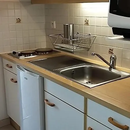 La Grande Moucherolle - Coquet Renove Pied Des Pistes Mae-4194 Apartment *